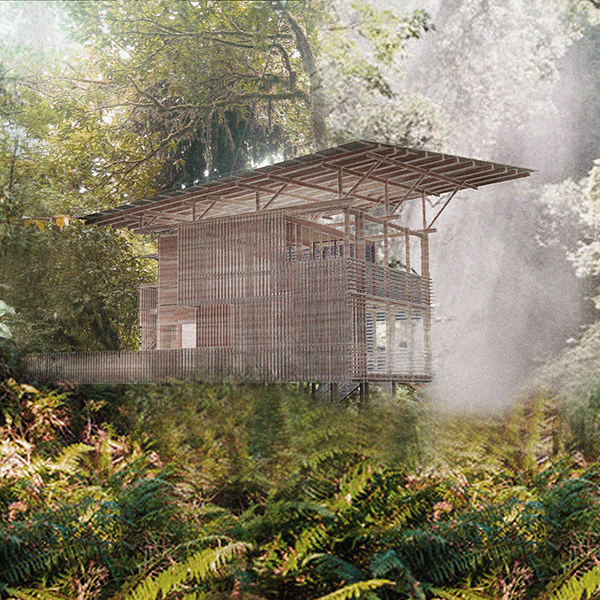 Costa Rica Jungle Residence Studiostigsgaard