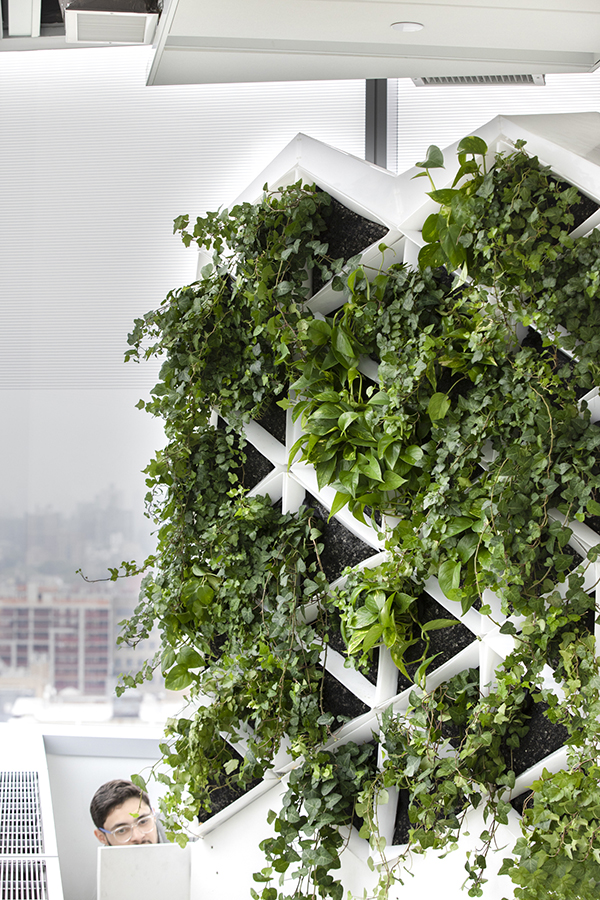 Ahu S 11 Photo By Gilbert Santana Edited