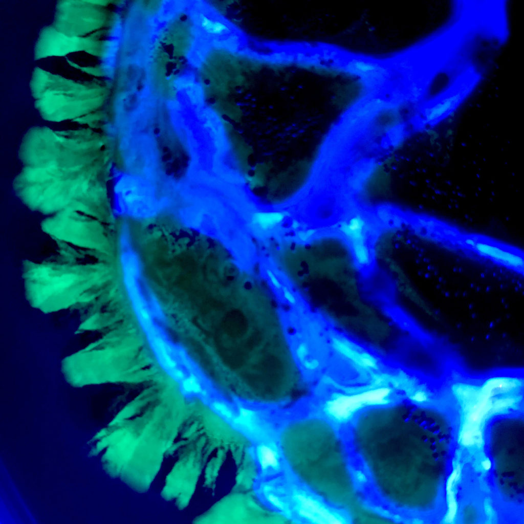 Ssa Web Fm Project 03