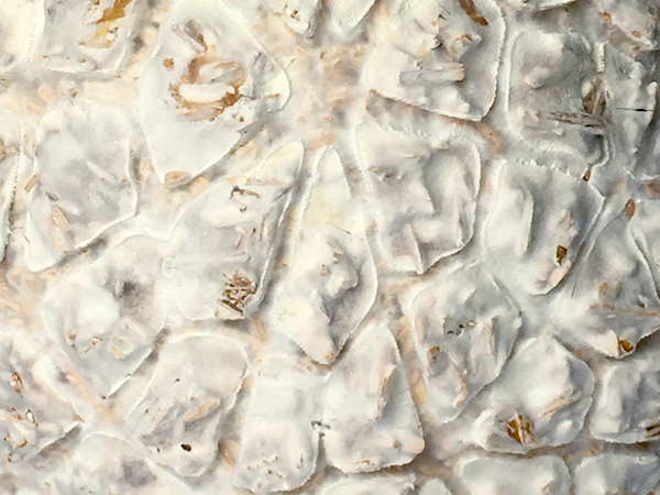 Ssa Web Fm Project 04