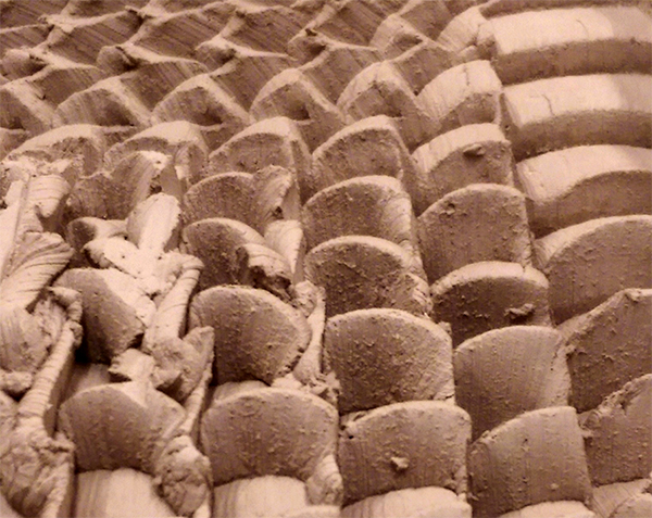 Ssa Web Fm Project 06