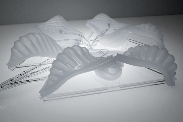 Ssa Web Fm Project 07