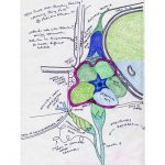 “Morning Glory Pools,” for Ellis Creek Water Recycling Facility, Petaluma, California, 2004.