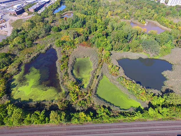 photo: aerial view of Mariners Marsh Park