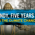 graphic: Sandy, Five Years On