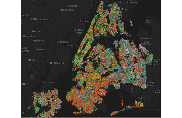 graphic map of NYC trees