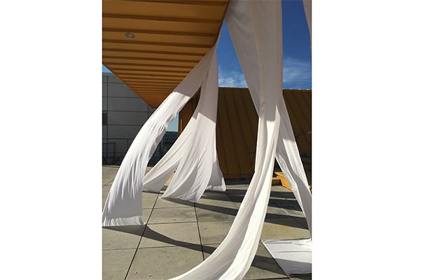 serendipity installation