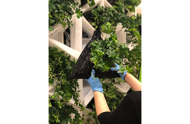 Mesh holder prototype