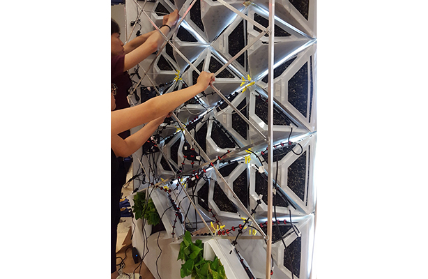 Team working on system