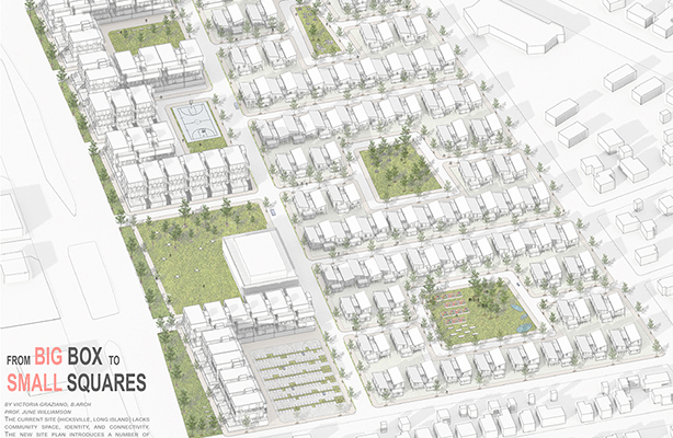 Victoria Graziano's From Big Box to Small Squares: Reviving Suburbia