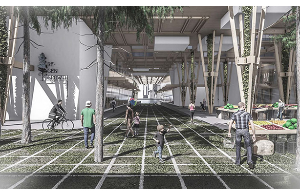 ReGen Growth Render 2