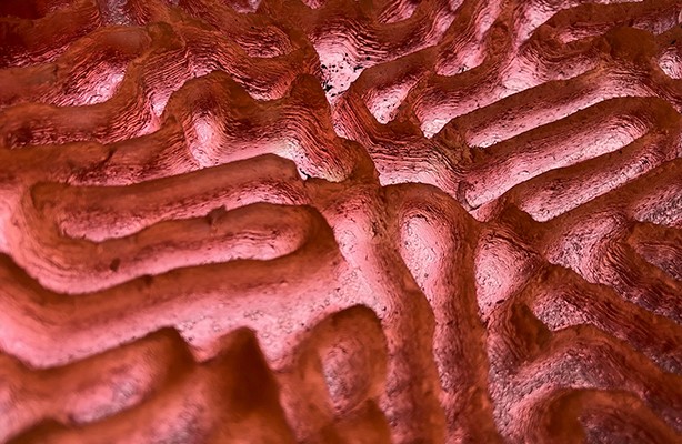 Melendez Biomatters 2