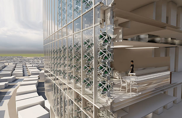 Green Capsule 1 614 X 400