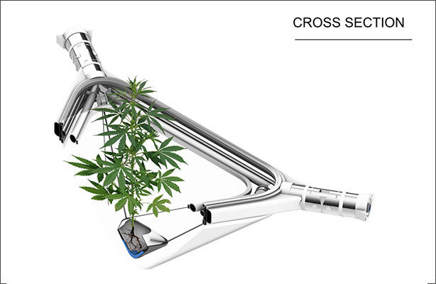 Green Capsule 3 614 X 400