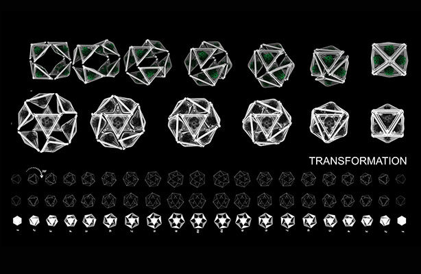 Green Capsule 4 614 X 400