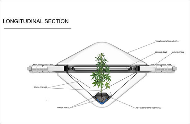 Green Capsule 6 614 X 400