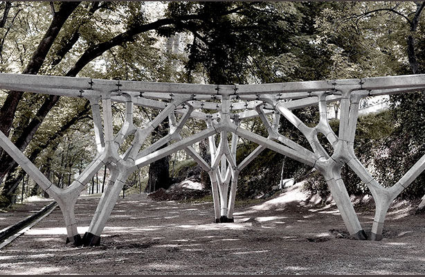 Bolhassani 1 614 x 400