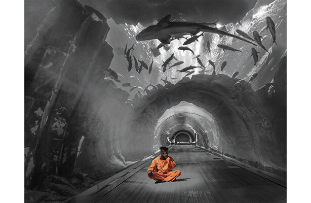 Brett Bashay And Jun Nam 3