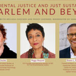 Environmental Justice Web