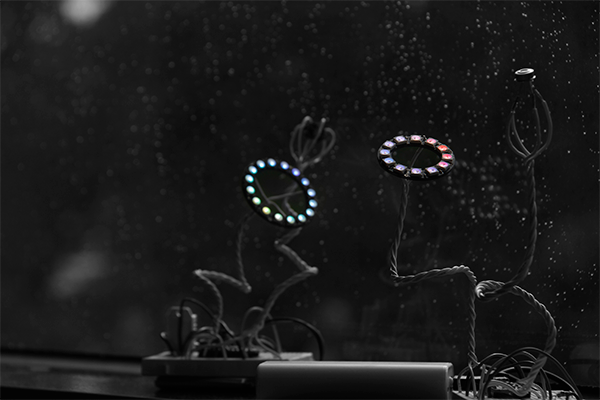 Zihao Zhang Project07282021 2