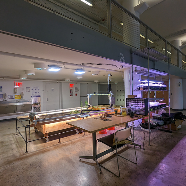 Zihao Zhang Project 1