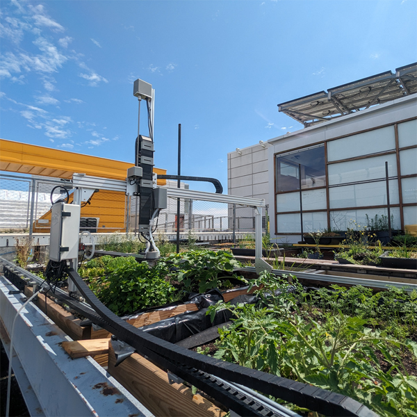 Zihao Zhang Project 2