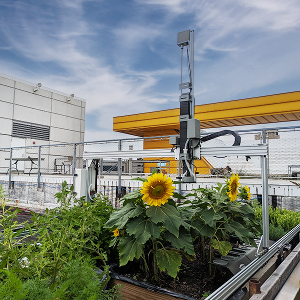 Zihao Zhang Project 3