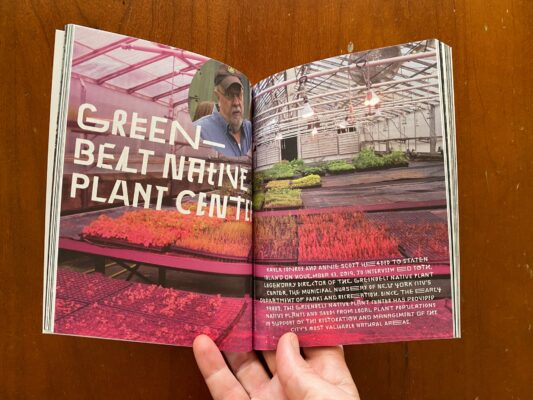 Photo: Plot Volume 9 Image 3