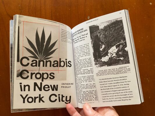 Photo: Plot Volume 9 Image 5