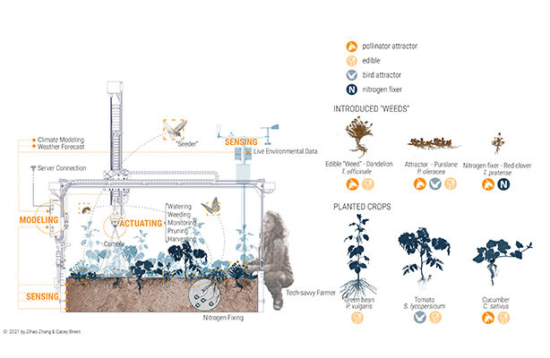 01 Robotic Garden 614w