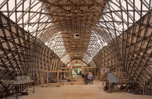 Downland Interior 614w