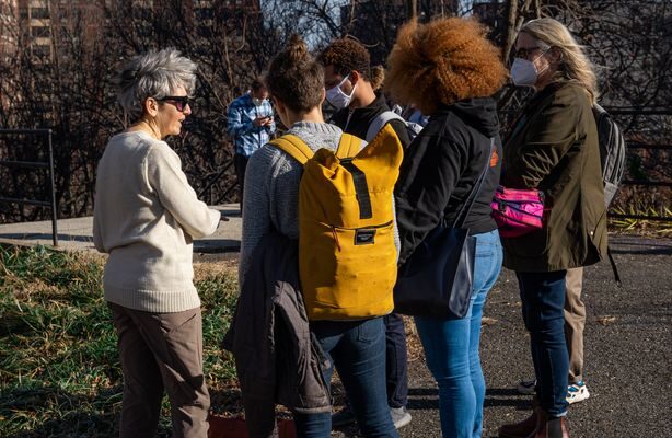 St Nicholas Park Site Visit (18 Of 41)