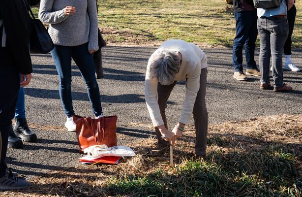 St Nicholas Park Site Visit (20 Of 41)