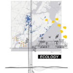 graphic - NYC map highlighting ecology