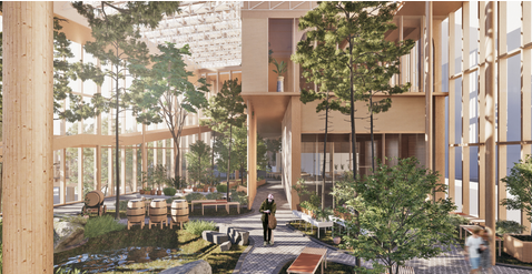 Second Place - Ahmed Helal