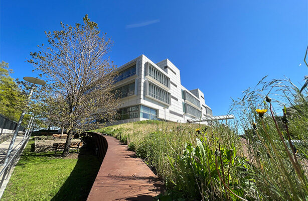 Side view of the Spitzer School of Architecture,