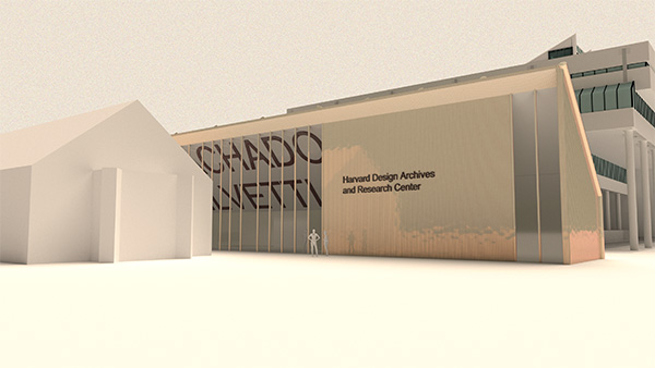 Selwyn Bachus Work 2